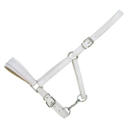 licol cuir chrome trait