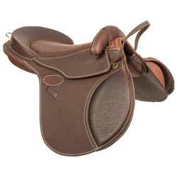 bardette evolution cantin