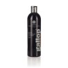 shampooing gallop noir 500ml carr&day
