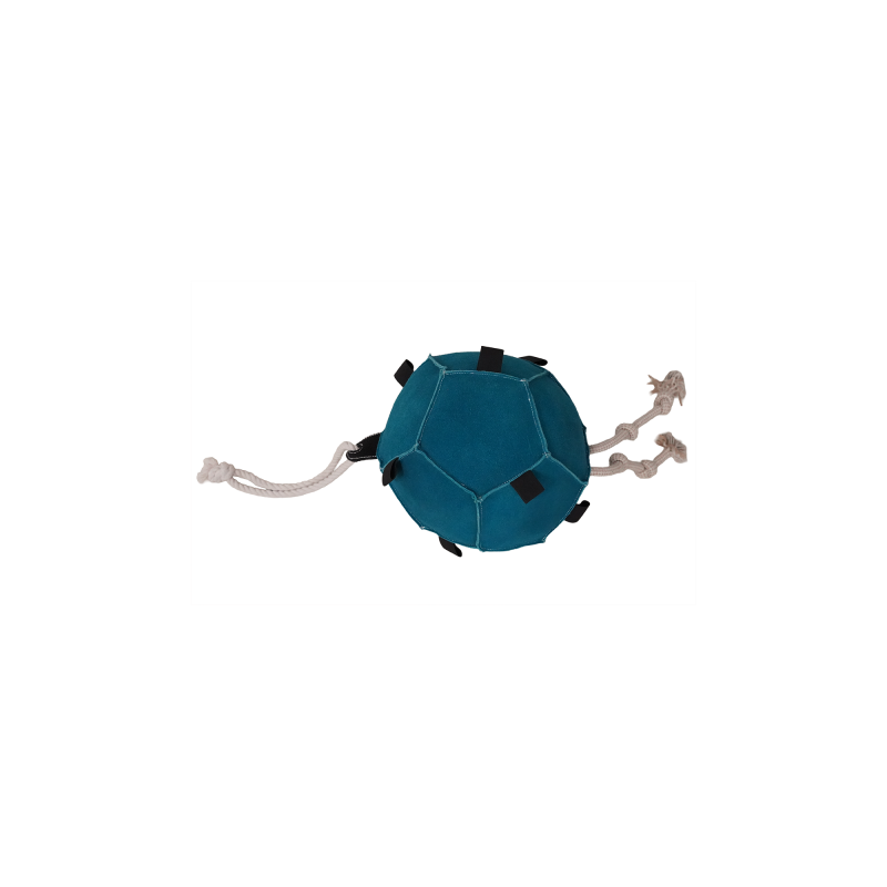 balle de jeu chevaux cuir