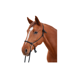 licol + renes ethologique canter