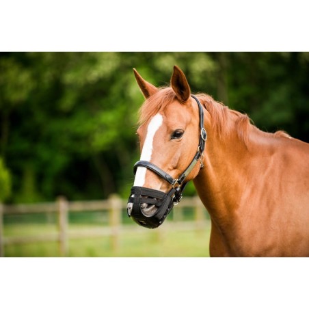 panier museliere norton