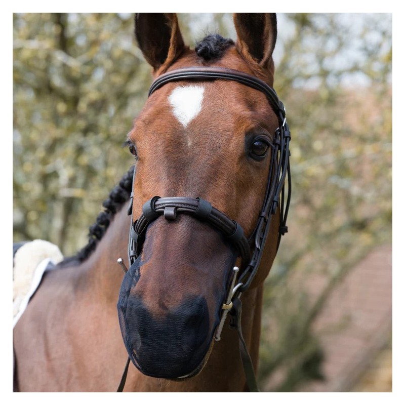 protege nez anti-encesement equilibrium