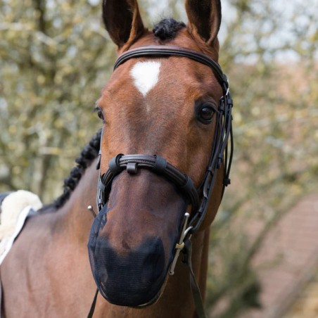 protege nez anti-encesement equilibrium