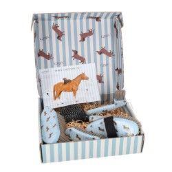 coffret pansage stable buddy qhp