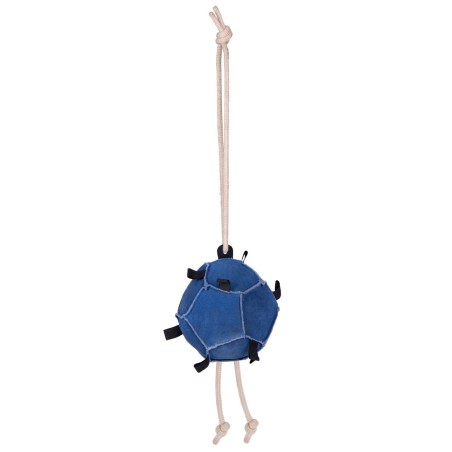 jouet ball qhp
