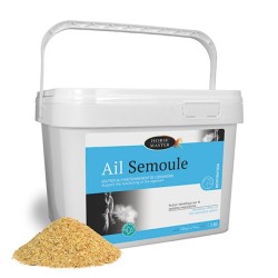 ail semoule 1kg horse master