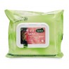Easy Shine Wipe RAVENE - Lingettes nettoyantes