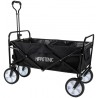 chariot quand hippotonic