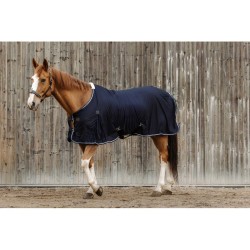 Chemise EQUITHÈME - Micro mesh