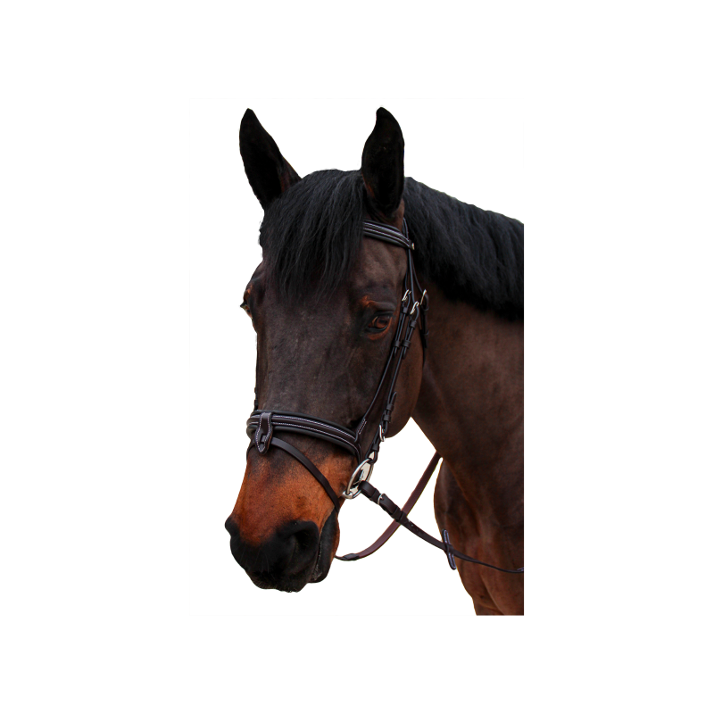 bridon bombe nino 1/2 rond canter