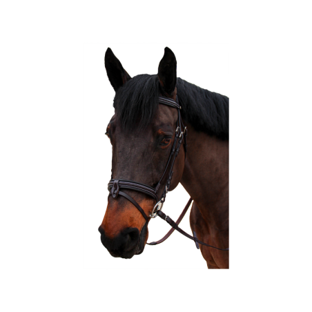 bridon bombe nino 1/2 rond canter