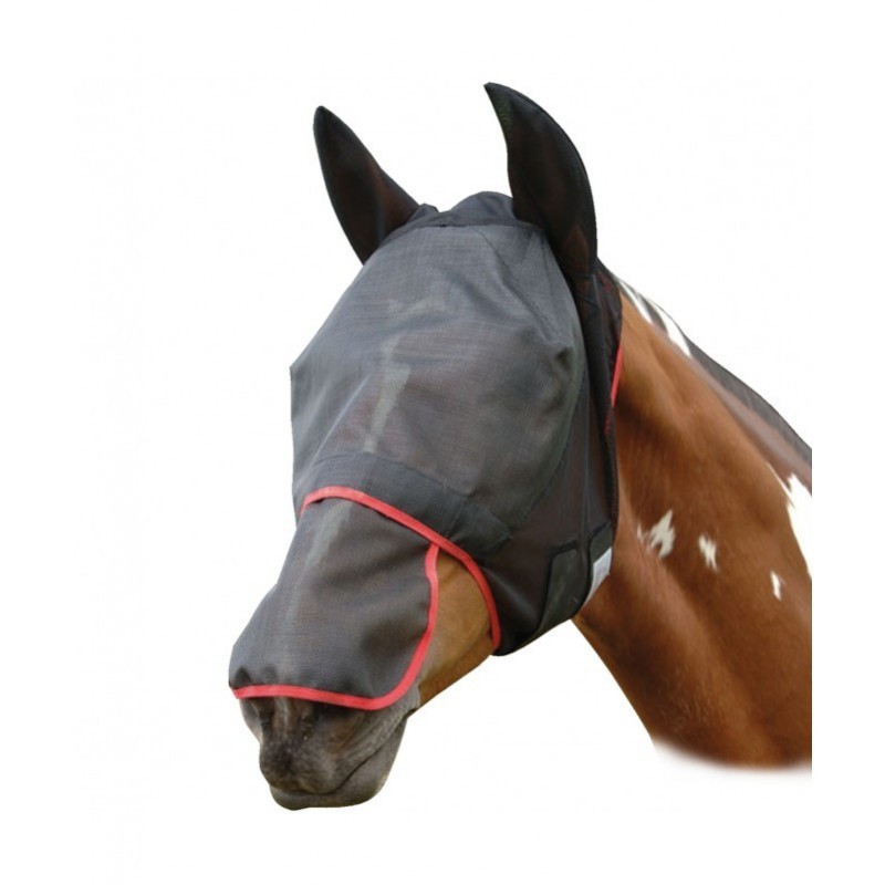 masque uv max equilibrium