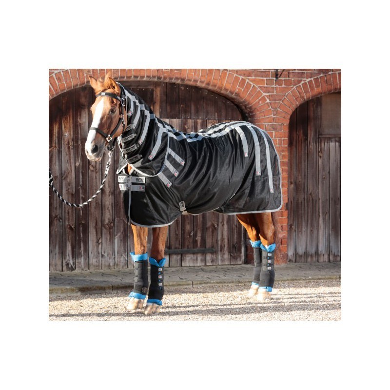 chemise magnetic premier equine