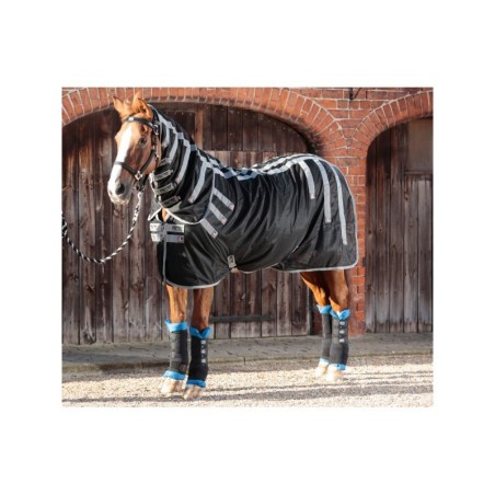 chemise magnetic premier equine