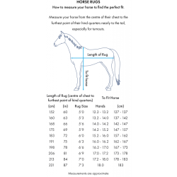 chemise magnetic premier equine