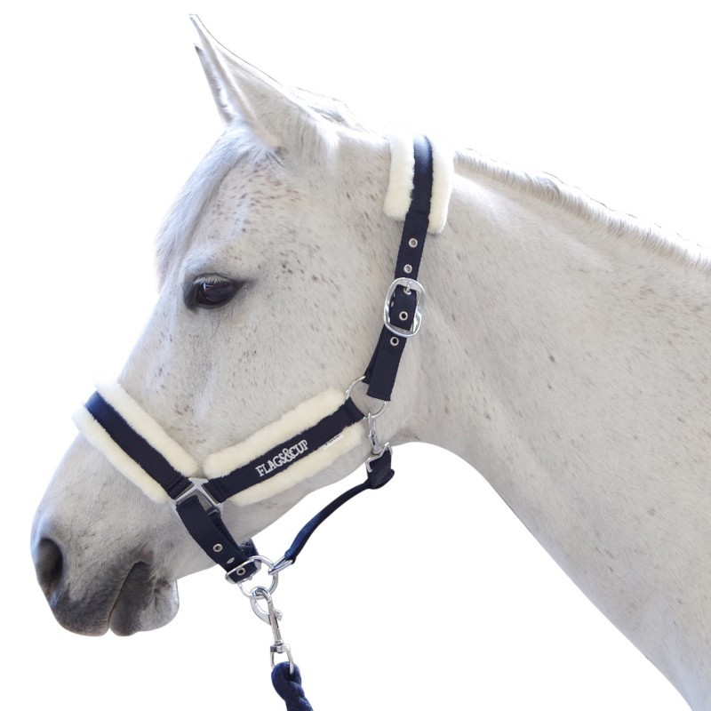 ensemble licol+longe velta flags&cup