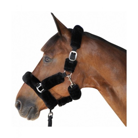 licol mouton synthetique canter