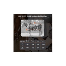 chemise rafraichissante chill + neck equilibrium