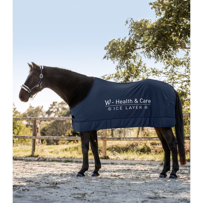 chemise rafraichissante health&ice layer waldhausen