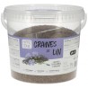 graine de lin 2kg