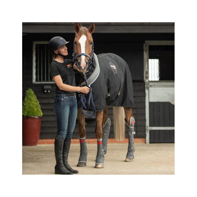 chemise magnetic equilibrium