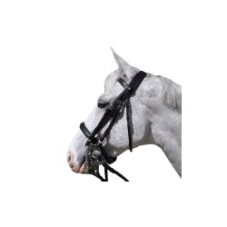 bride hagen flags&cup