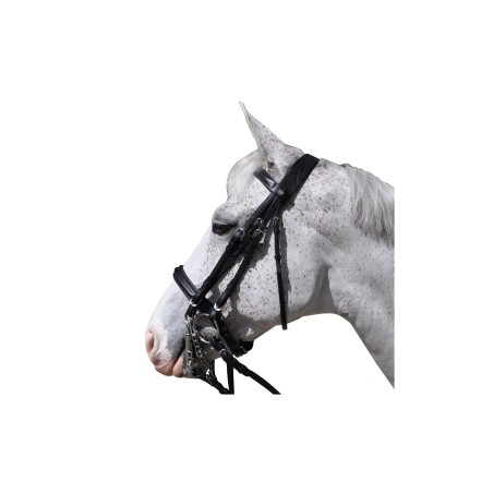 bride hagen flags&cup