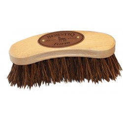 Brosse Banane BORSTIQ - Bassine GM